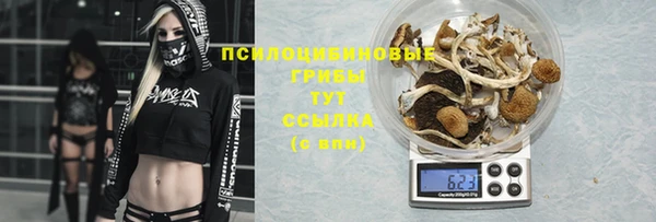 меф Богородицк