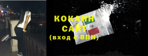 эйфоретик Богданович