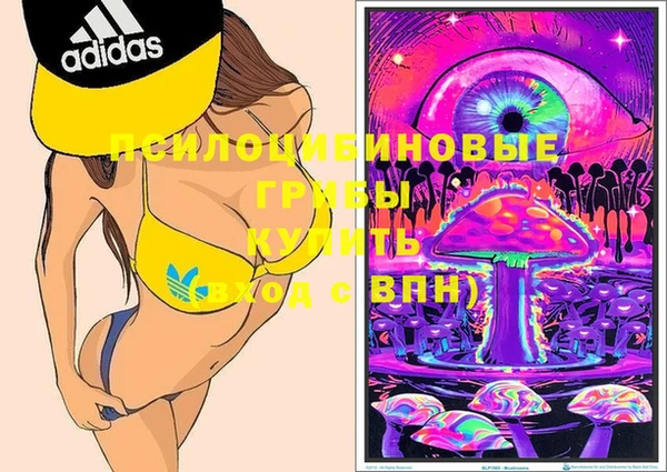 эйфоретик Богданович
