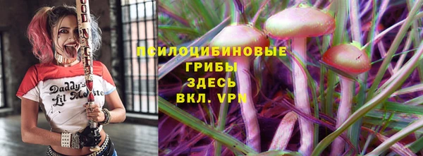 дурь Белокуриха