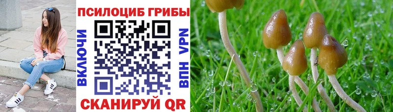 Псилоцибиновые грибы мицелий  мега ссылки  Великий Устюг 